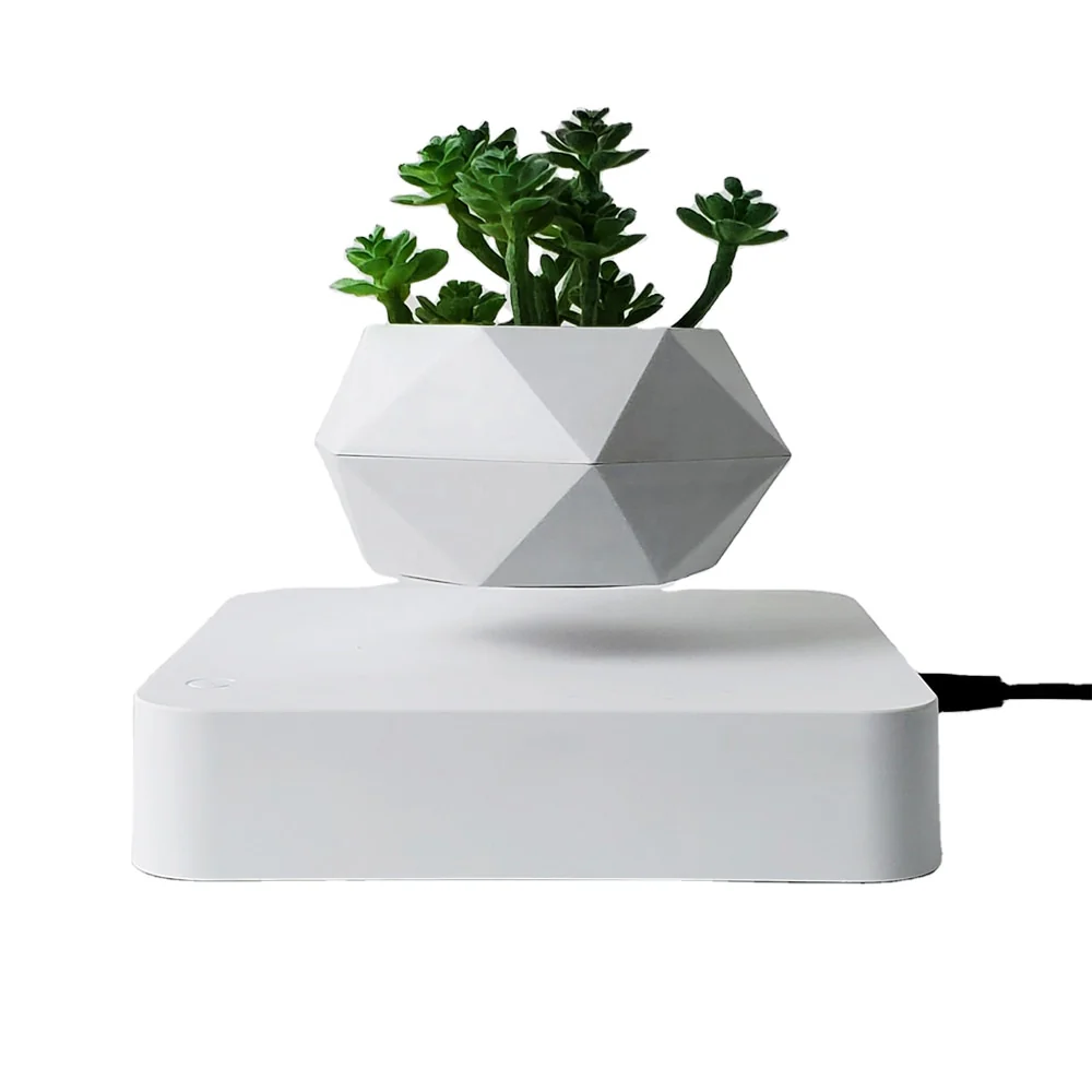 Levitating Plant - Image 3