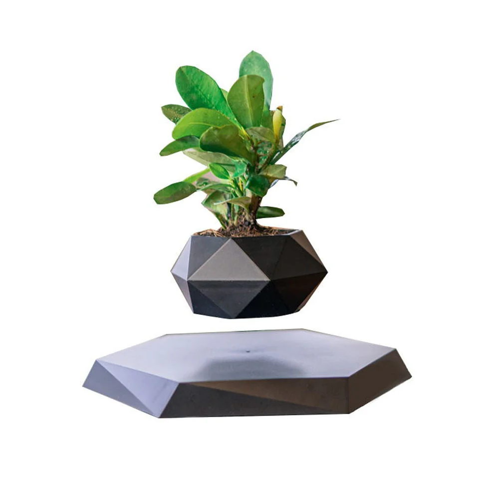 Levitating Plant - Image 4