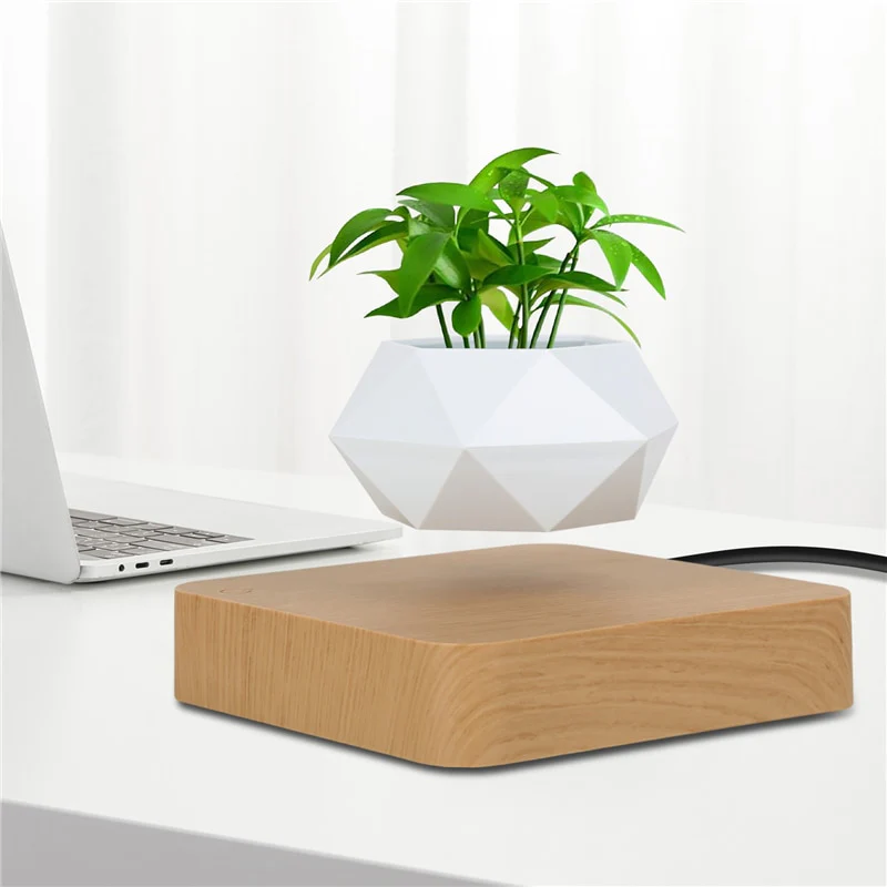 Levitating Plant - Image 5