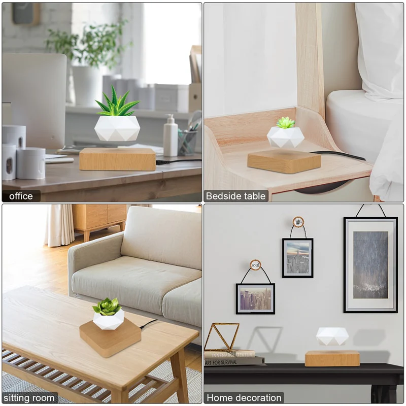 Levitating Plant - Image 6