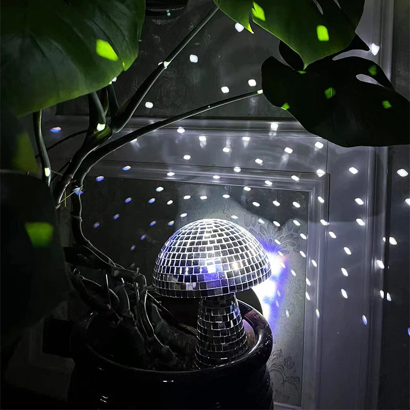 Mushroom Disco - Image 7