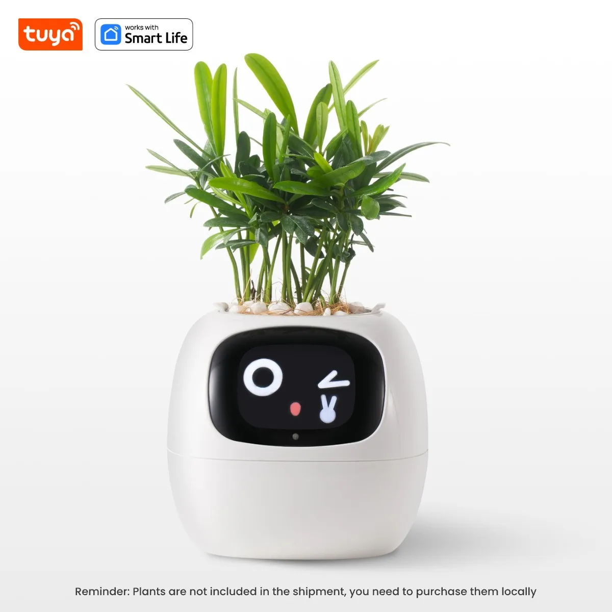 Smart Robot Planter - Image 10