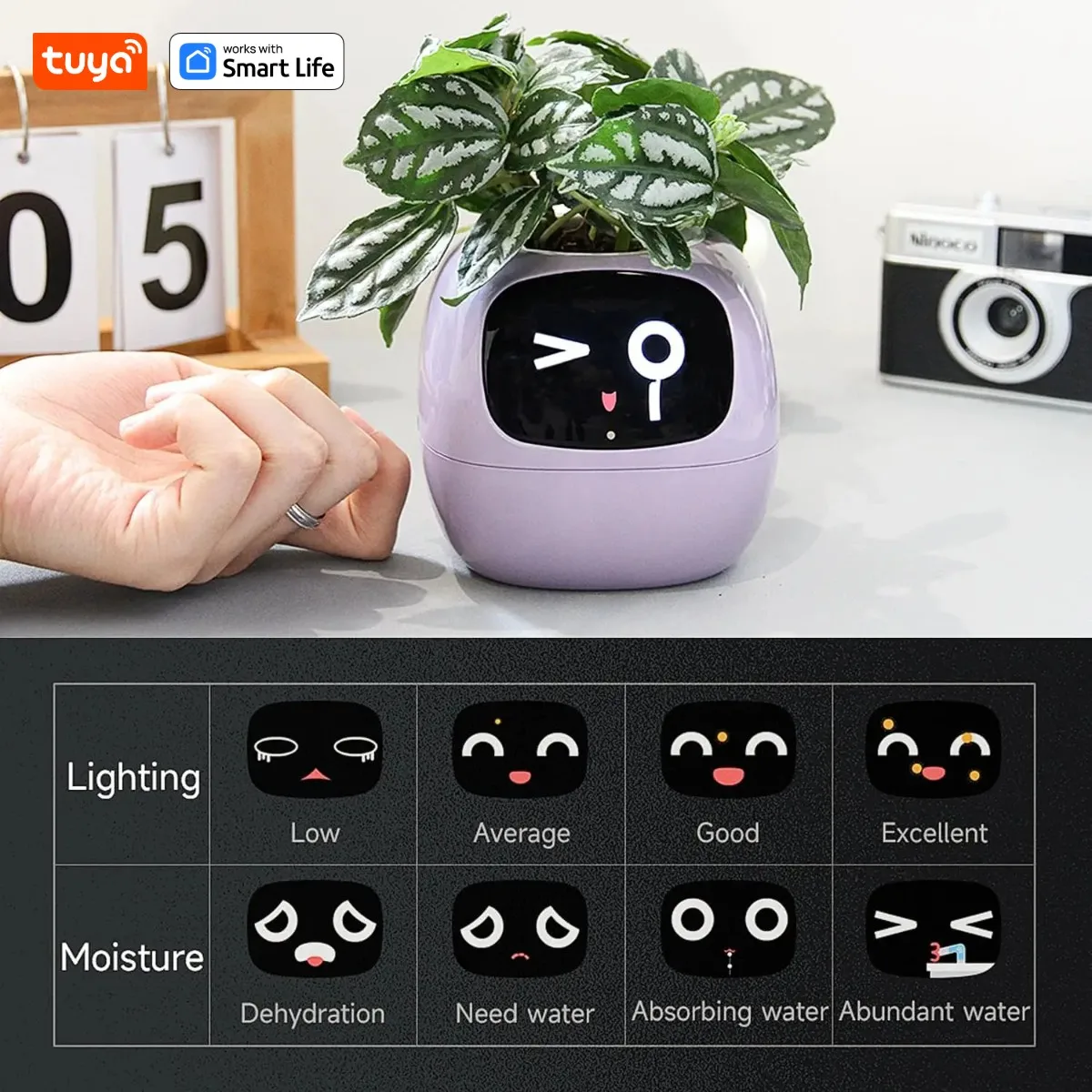 Smart Robot Planter - Image 12