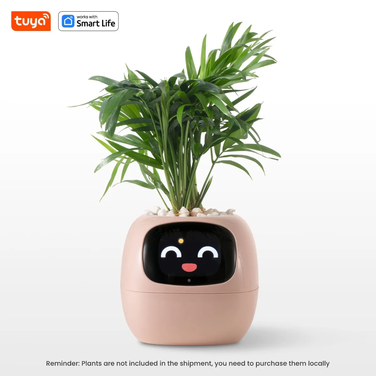 Smart Robot Planter - Image 6
