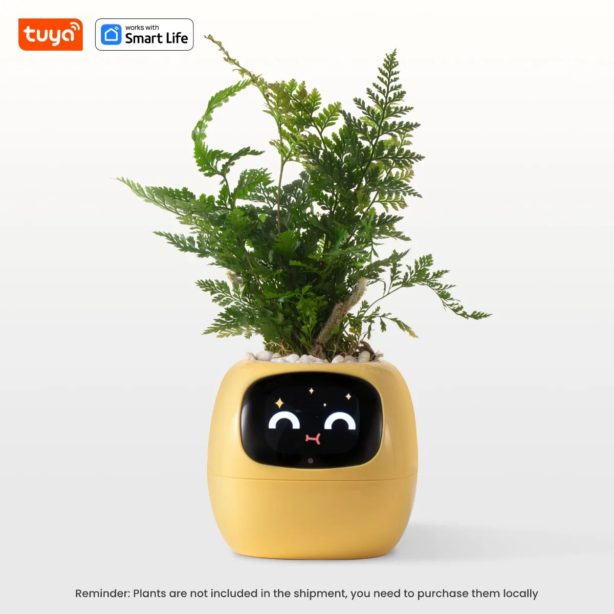 Smart Robot Planter - Image 7