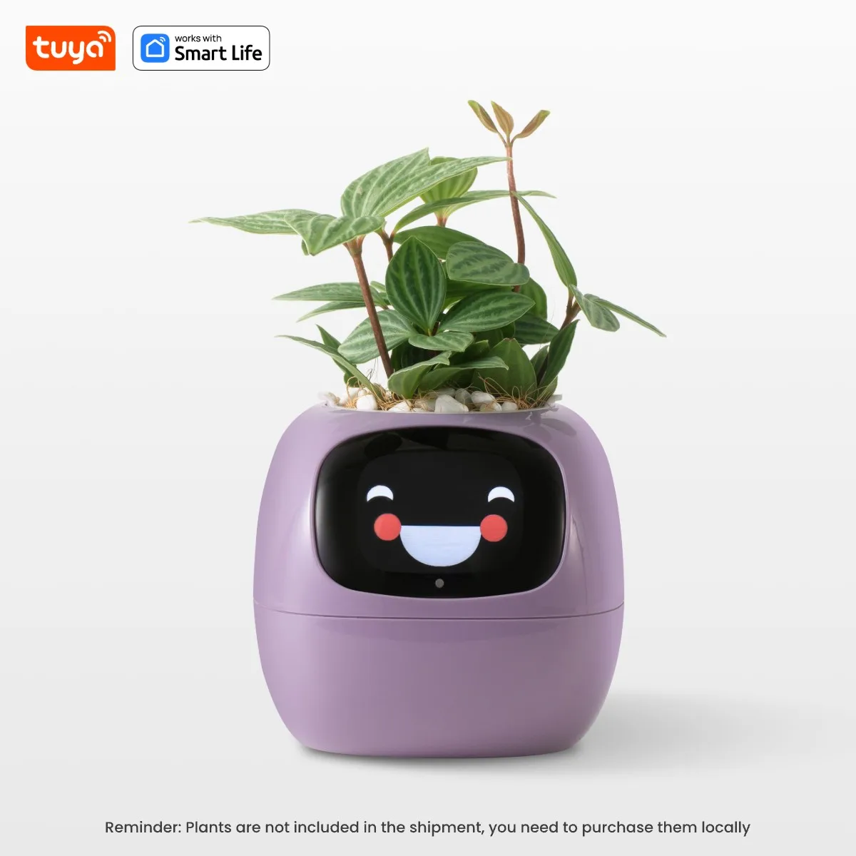 Smart Robot Planter - Image 9