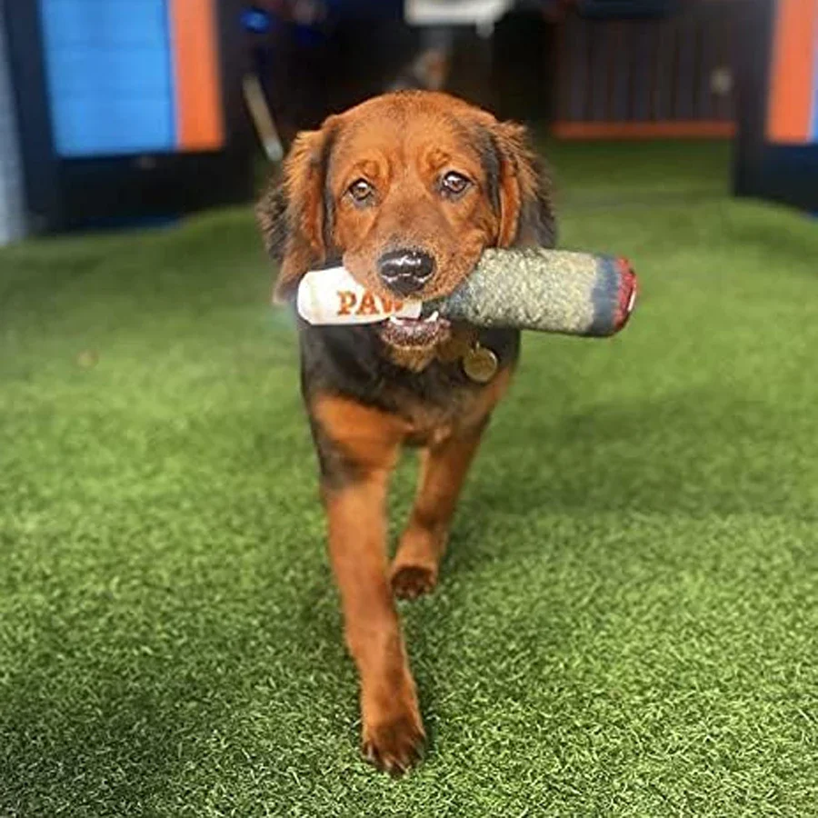 ZA ZA Dog Toy - Image 4